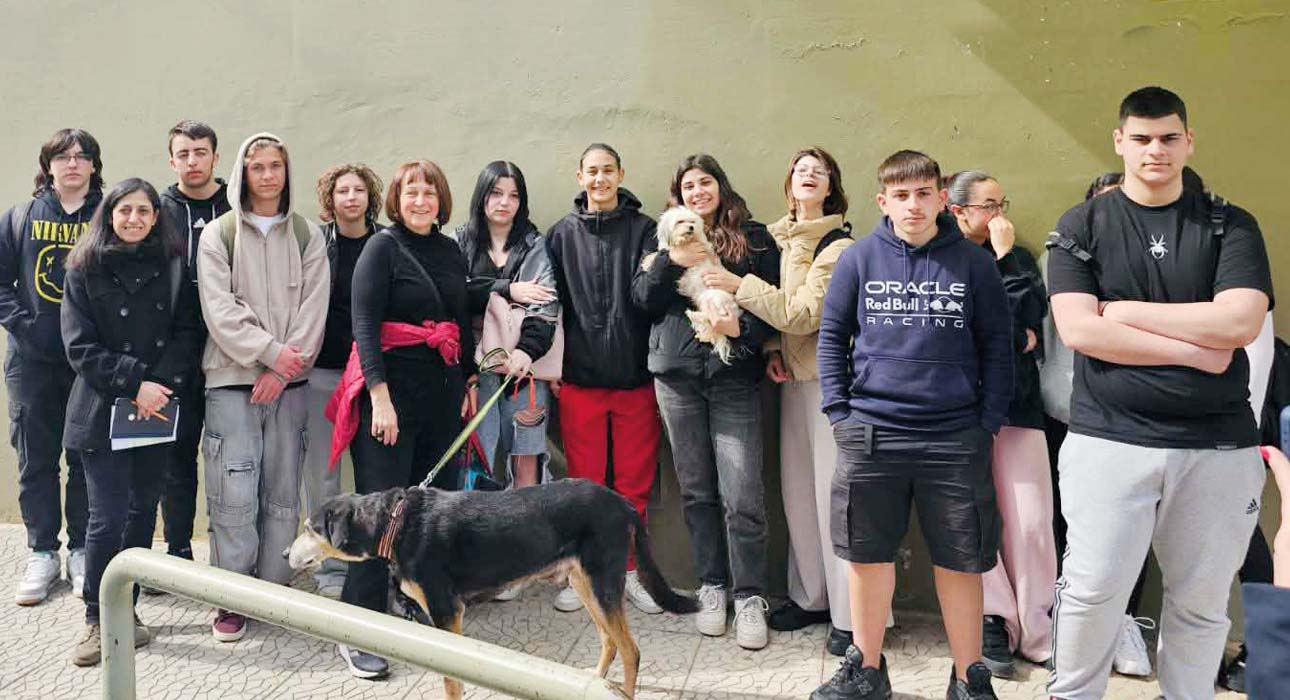Σύλλογος Ζωοφίλων Αγίας Παρασκευής - Ανακοίνωση