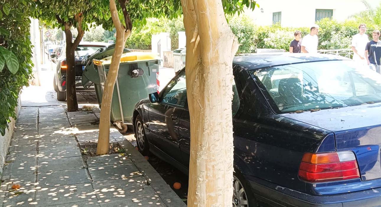 Άγνωστοι vs Λογικής: Άγνωστοι έγδαραν νεραντζιές!