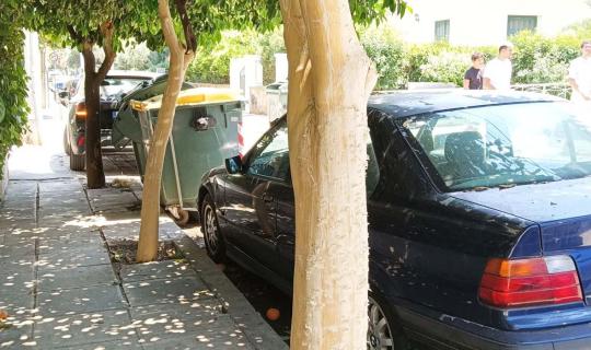 Άγνωστοι vs Λογικής: Άγνωστοι έγδαραν νεραντζιές!